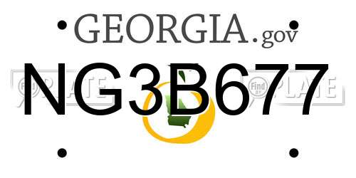 NG3B677 Georgia License Plate