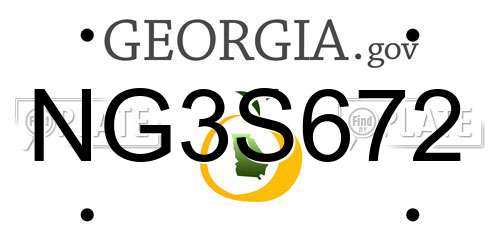 NG3S672 Georgia License Plate