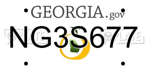 NG3S677 Georgia License Plate