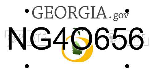 NG4O656 Georgia License Plate