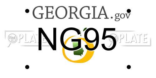 NG95 Georgia License Plate