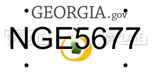 NGE5677 Georgia License Plate
