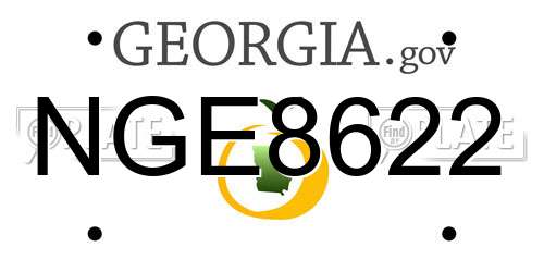 NGE8622 Georgia License Plate