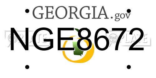 NGE8672 Georgia License Plate