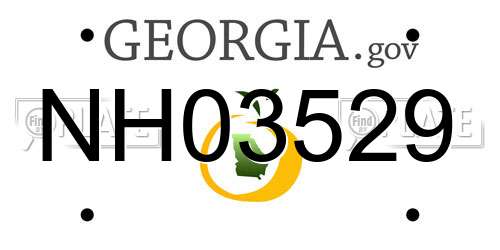 NH03529 Georgia License Plate