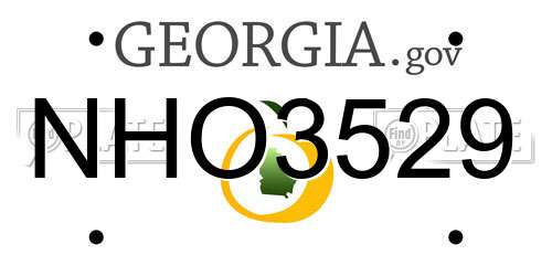 NHO3529 Georgia License Plate