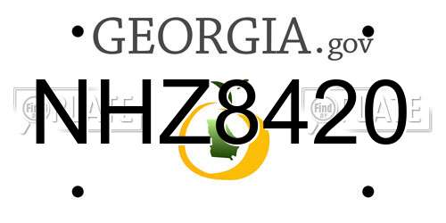 NHZ8420 Georgia License Plate