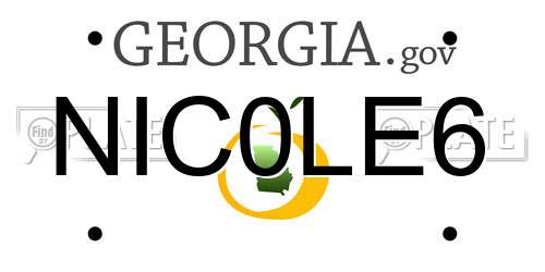 NIC0LE6 Georgia License Plate