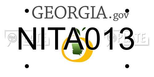 NITA013 Georgia License Plate