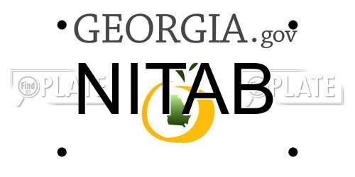 NITAB Georgia License Plate