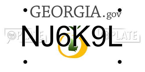 NJ6K9L Georgia License Plate