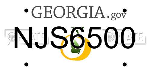 NJS6500 Georgia License Plate
