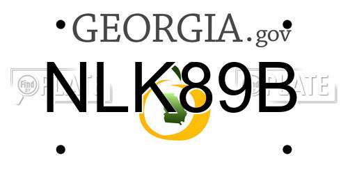 NLK89B Georgia License Plate