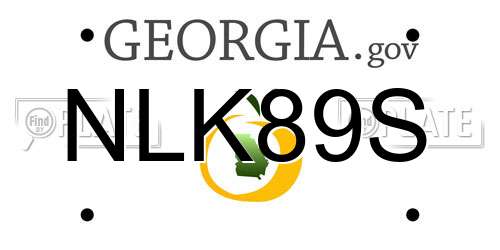 NLK89S Georgia License Plate