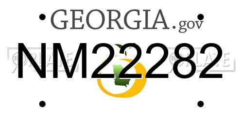 NM22282 Georgia License Plate