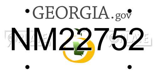 NM22752 Georgia License Plate