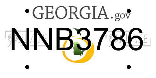 NNB3786 Georgia License Plate