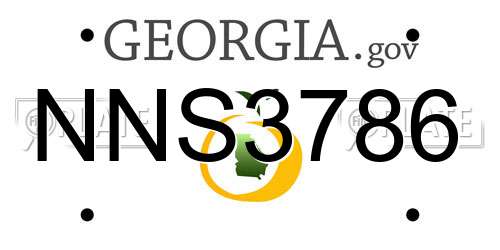NNS3786 Georgia License Plate