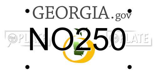 NO250 Georgia License Plate