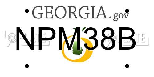 NPM38B Georgia License Plate