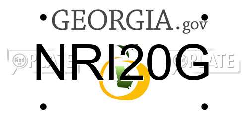 NRI20G Georgia License Plate