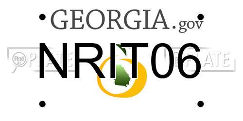 NRIT06 Georgia License Plate