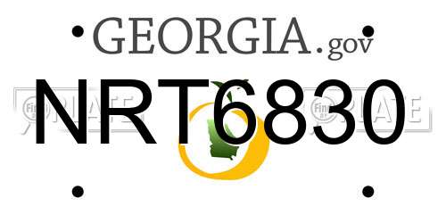 NRT6830 Georgia License Plate