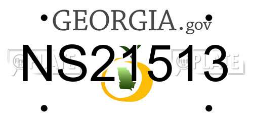 NS21513 Georgia License Plate