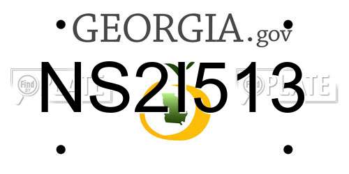 NS2I513 Georgia License Plate