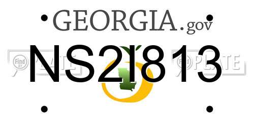 NS2I813 Georgia License Plate