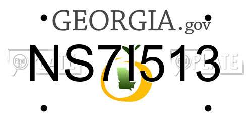 NS7I513 Georgia License Plate
