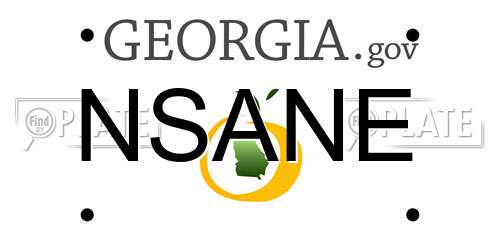 NSANE Georgia License Plate