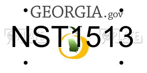 NST1513 Georgia License Plate