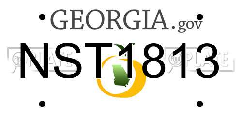 NST1813 Georgia License Plate