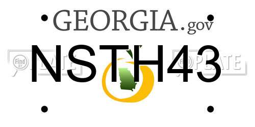NSTH43 Georgia License Plate