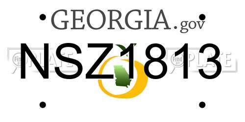 NSZ1813 Georgia License Plate