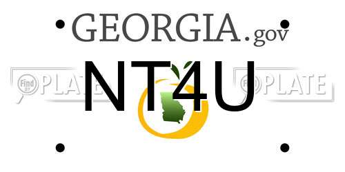 NT4U Georgia License Plate