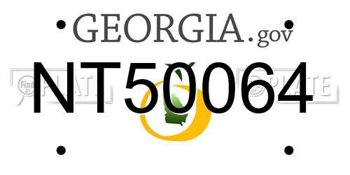 NT50064 Georgia License Plate