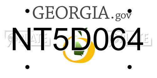 NT5D064 Georgia License Plate