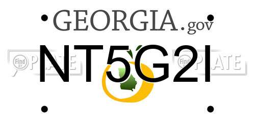 NT5G2I Georgia License Plate