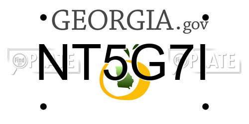NT5G7I Georgia License Plate
