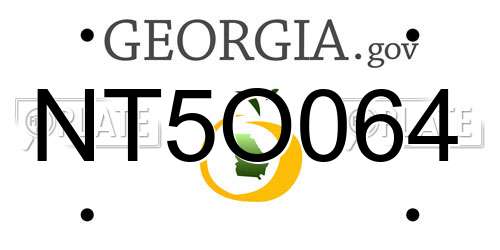 NT5O064 Georgia License Plate