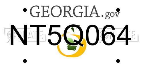 NT5Q064 Georgia License Plate