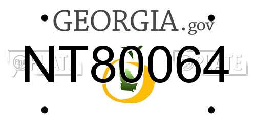 NT80064 Georgia License Plate