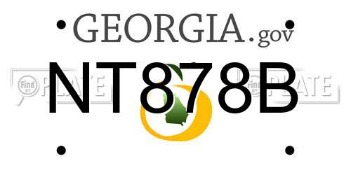 NT878B Georgia License Plate