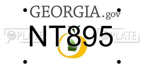 NT895 Georgia License Plate