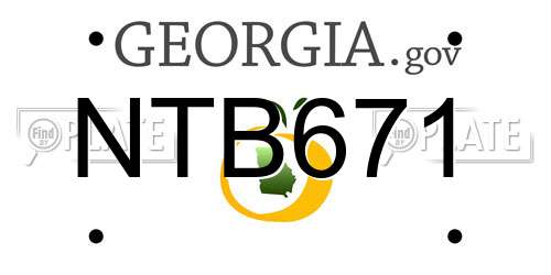 NTB671 Georgia License Plate