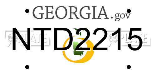 NTD2215 Georgia License Plate