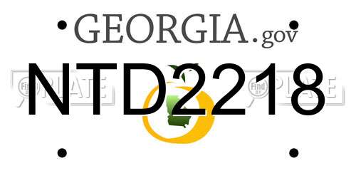 NTD2218 Georgia License Plate