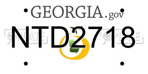 NTD2718 Georgia License Plate